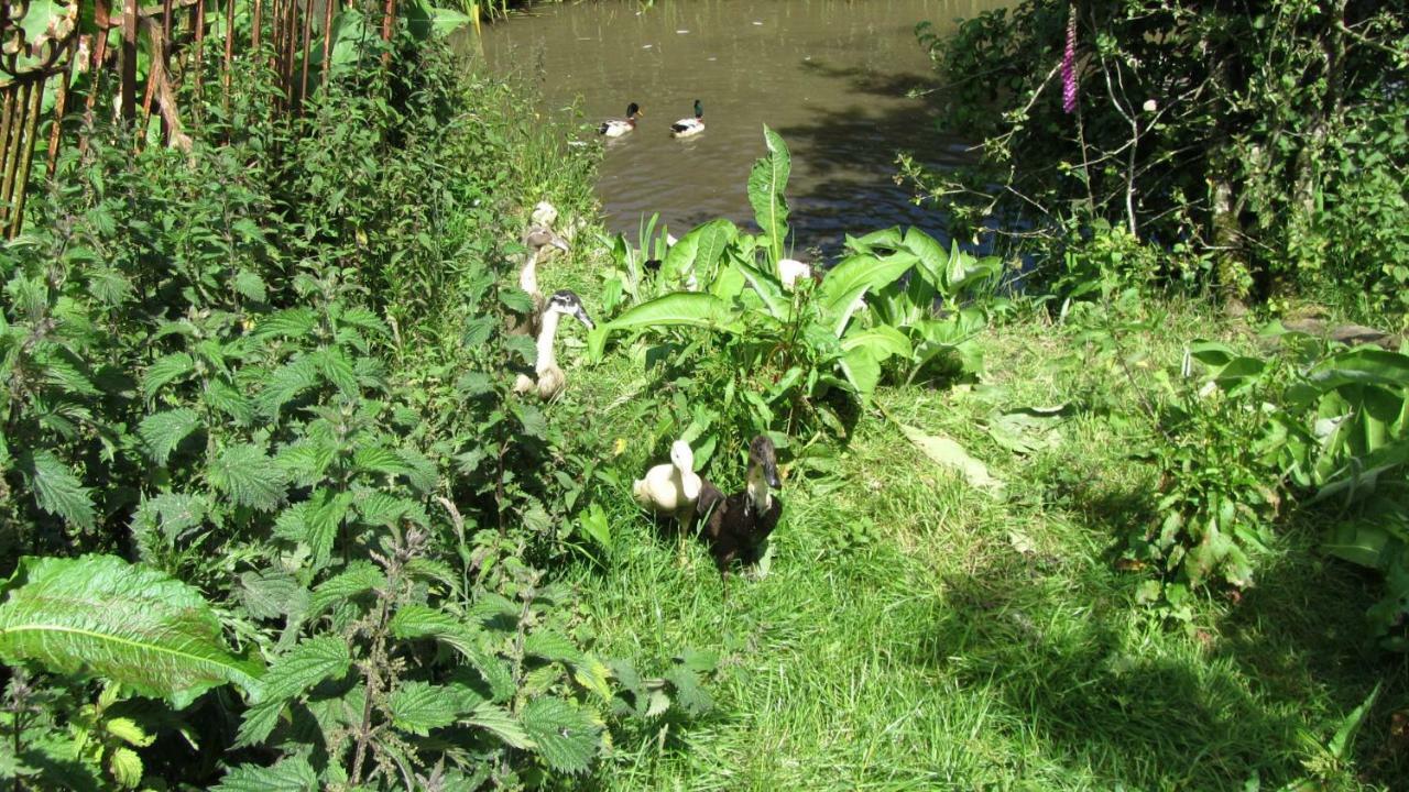 Heathergate Cottage Dartmoor Bnb Lydford Luaran gambar