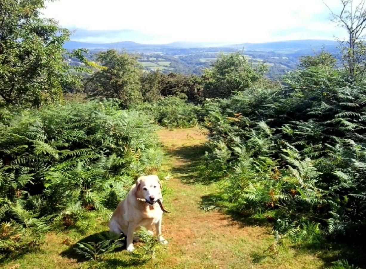 Heathergate Cottage Dartmoor Bnb Lydford Luaran gambar