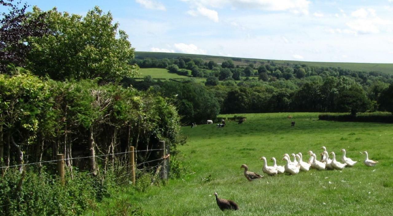 Heathergate Cottage Dartmoor Bnb Lydford Luaran gambar